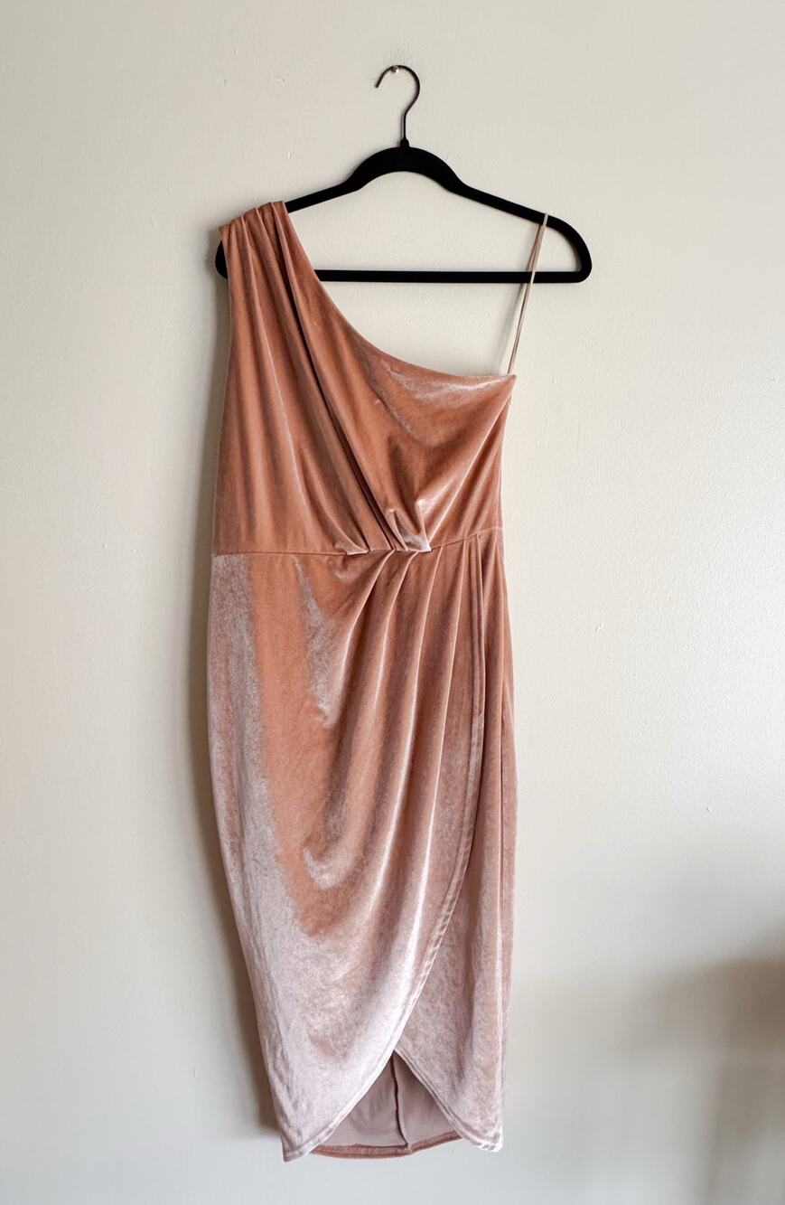 Baltic Born Pink Tan Desert Rose Kourtney Velvet One Shoulder Dress Large